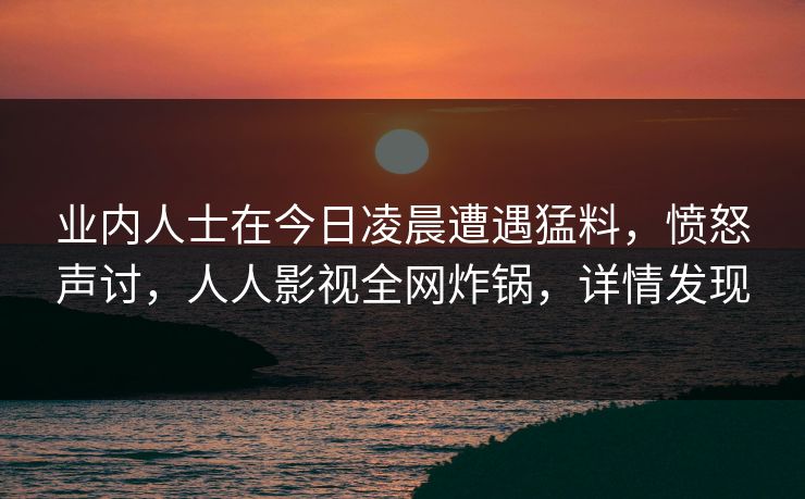 业内人士在今日凌晨遭遇猛料，愤怒声讨，人人影视全网炸锅，详情发现