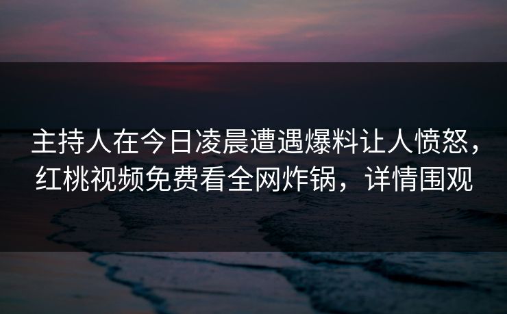 主持人在今日凌晨遭遇爆料让人愤怒，红桃视频免费看全网炸锅，详情围观