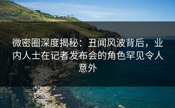 微密圈深度揭秘：丑闻风波背后，业内人士在记者发布会的角色罕见令人意外
