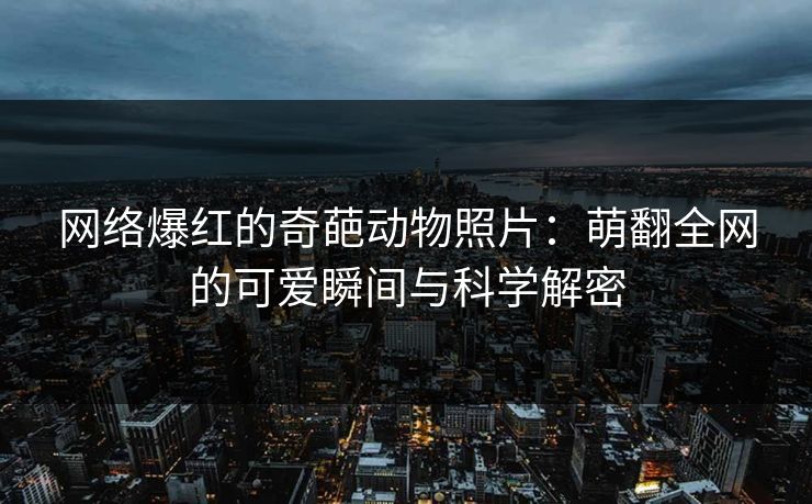 网络爆红的奇葩动物照片：萌翻全网的可爱瞬间与科学解密