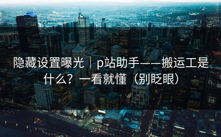 隐藏设置曝光｜p站助手——搬运工是什么？一看就懂（别眨眼）